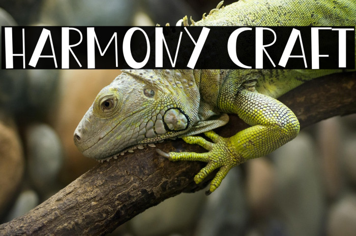 Harmony Craft Example 3