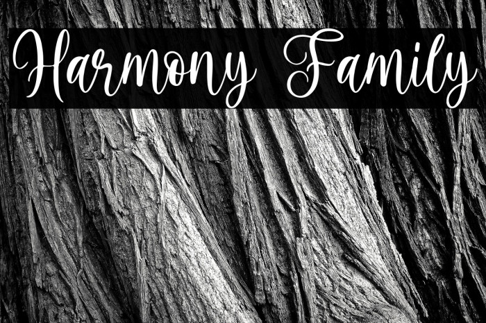 Harmony Family Example 2