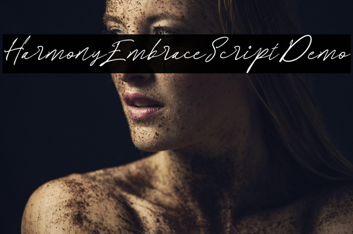 HarmonyEmbraceScriptDemo Example 1