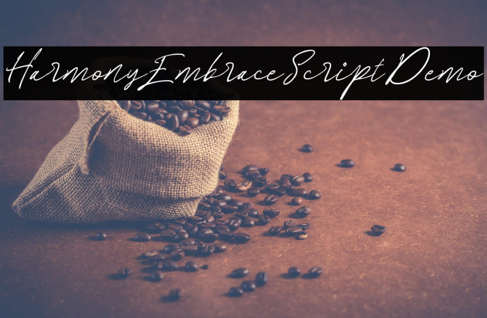 HarmonyEmbraceScriptDemo Example 2