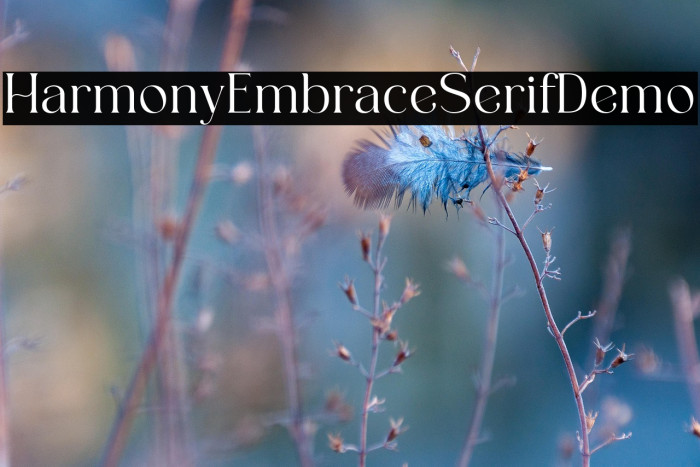 HarmonyEmbraceSerifDemo Example 1