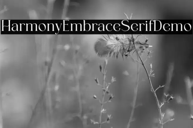 HarmonyEmbraceSerifDemo Font examples