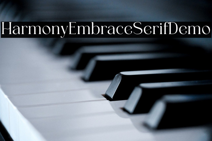 HarmonyEmbraceSerifDemo Example 3