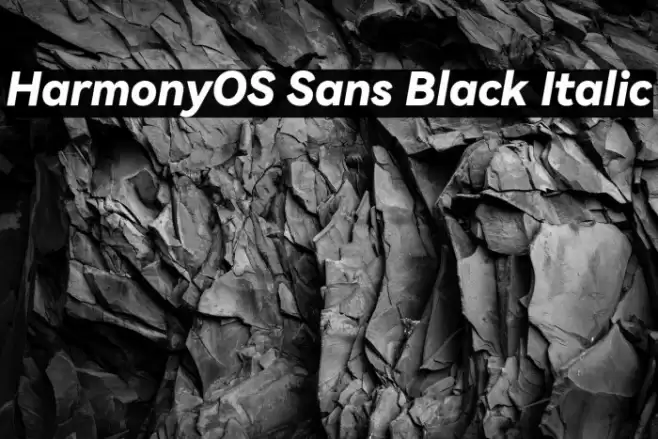 HarmonyOS Sans Black Italic Font examples