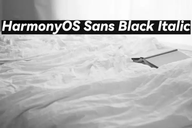HarmonyOS Sans Black Italic Font examples