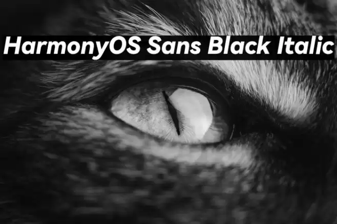 HarmonyOS Sans Black Italic Font examples