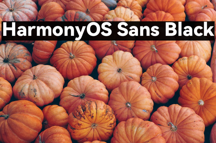 HarmonyOS Sans Black Example 3