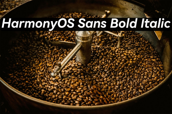 HarmonyOS Sans Bold Italic Example 1
