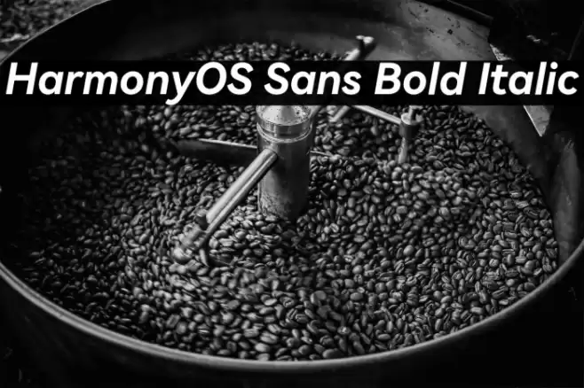 HarmonyOS Sans Bold Italic Font examples