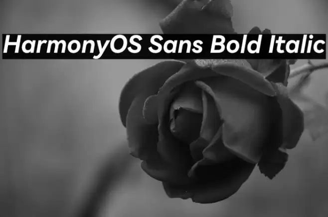 HarmonyOS Sans Bold Italic Font examples