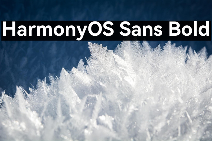 HarmonyOS Sans Bold Example 1
