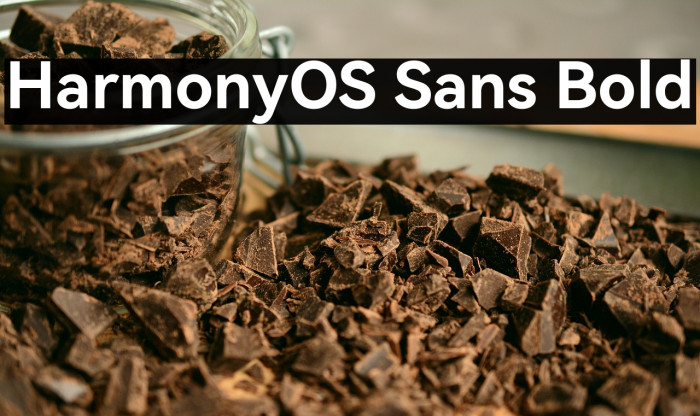 HarmonyOS Sans Bold Example 2