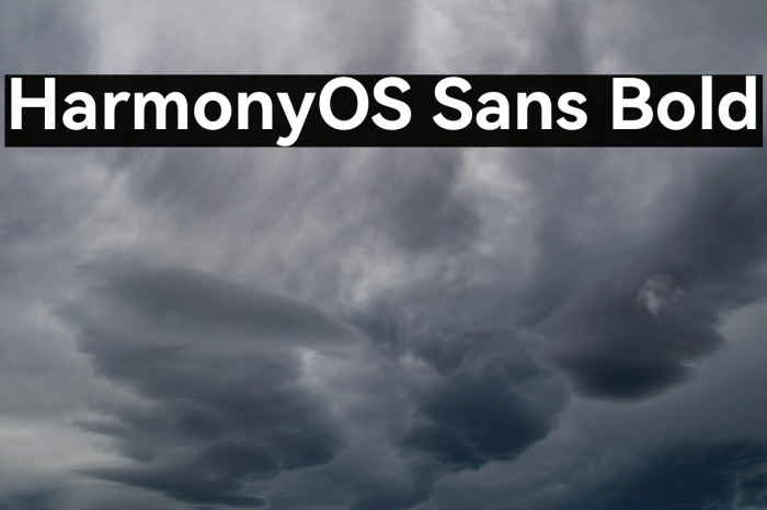 HarmonyOS Sans Bold Example 3