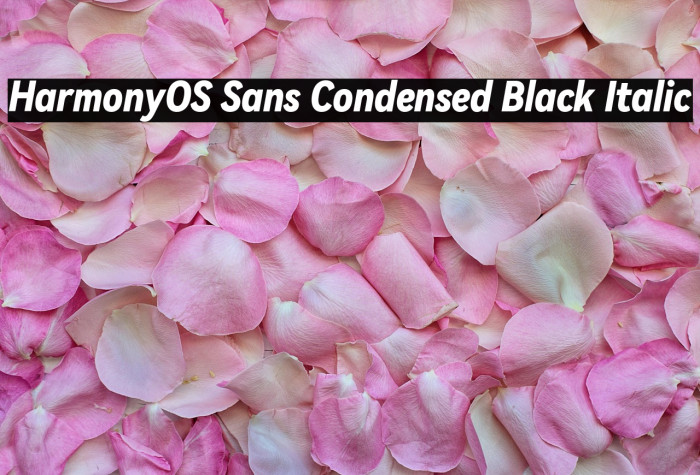 HarmonyOS Sans Condensed Black Italic Example 1