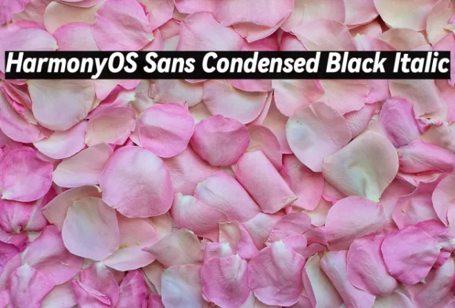 HarmonyOS Sans Condensed Black Italic Example 1
