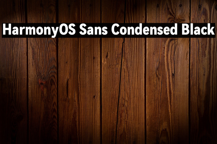 HarmonyOS Sans Condensed Black Example 2