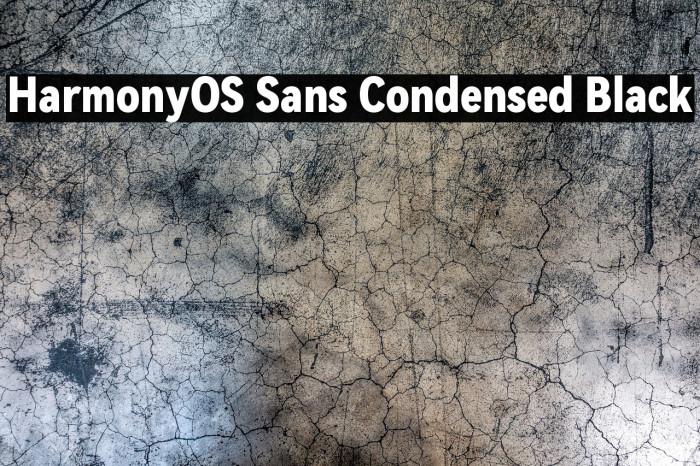 HarmonyOS Sans Condensed Black Example 3
