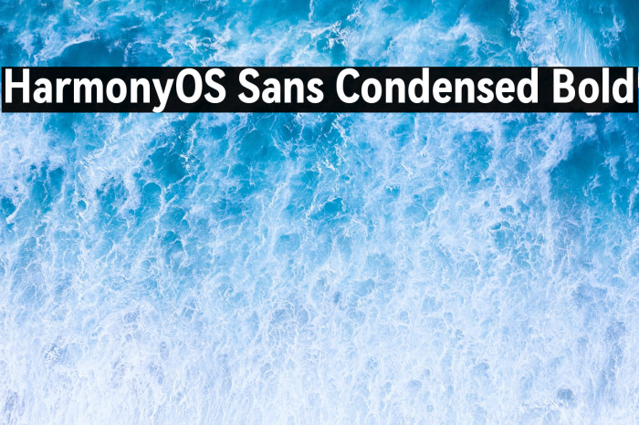 HarmonyOS Sans Condensed Bold Example 1