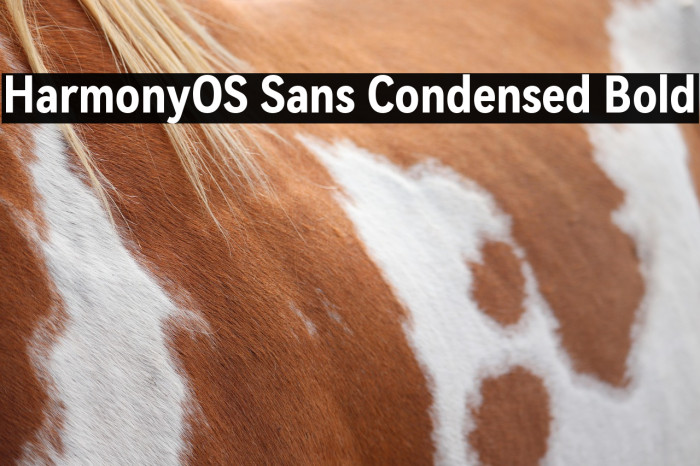 HarmonyOS Sans Condensed Bold Example 3