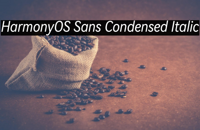 HarmonyOS Sans Condensed Italic Example 1