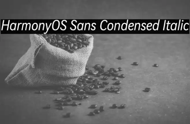 HarmonyOS Sans Condensed Italic خط examples