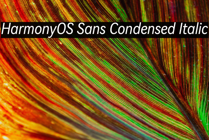 HarmonyOS Sans Condensed Italic Example 2