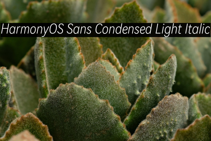HarmonyOS Sans Condensed Light Italic Example 2