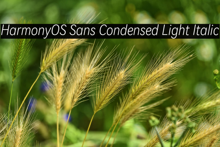 HarmonyOS Sans Condensed Light Italic Example 3