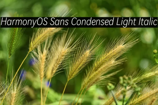 HarmonyOS Sans Condensed Light Italic Example 3