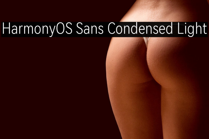 HarmonyOS Sans Condensed Light Example 3