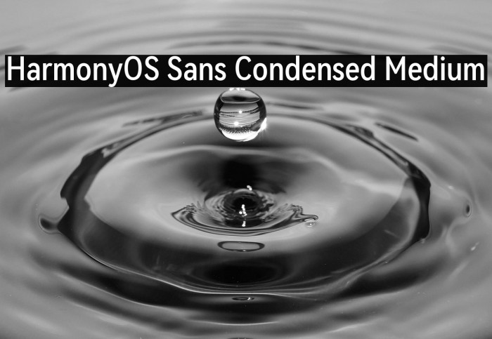 HarmonyOS Sans Condensed Medium Example 3