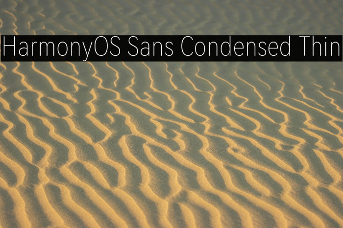 HarmonyOS Sans Condensed Thin Example 3