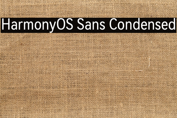 HarmonyOS Sans Condensed Example 2