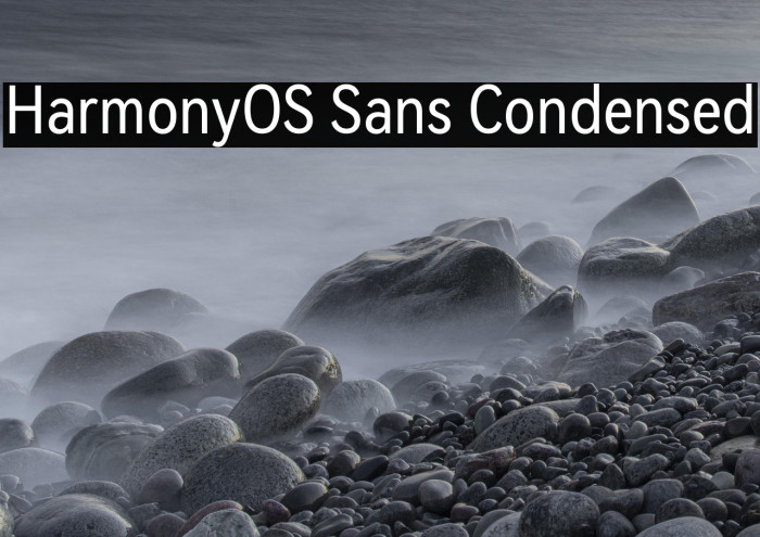 HarmonyOS Sans Condensed Example 3