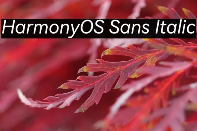 HarmonyOS Sans Italic Example 3