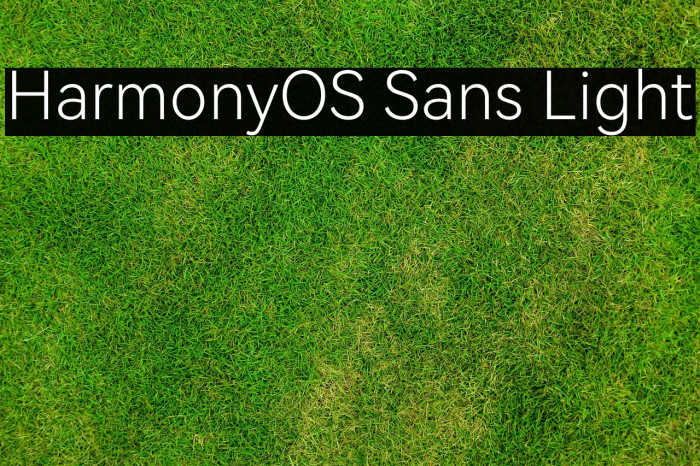 HarmonyOS Sans Light Example 1