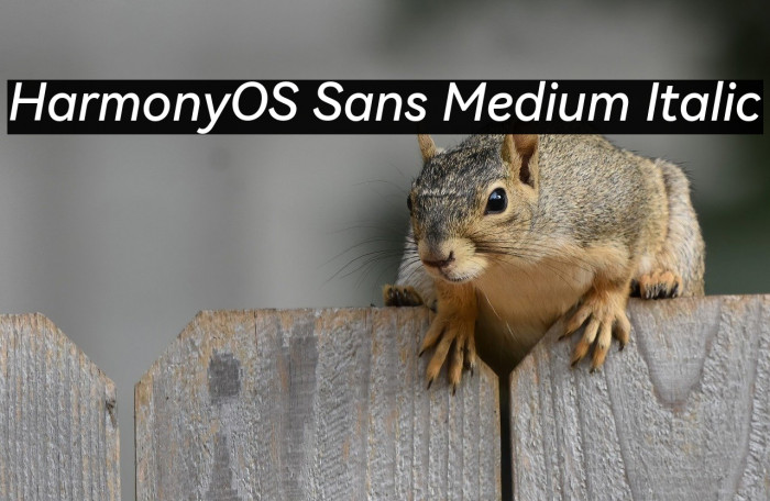 HarmonyOS Sans Medium Italic Example 1