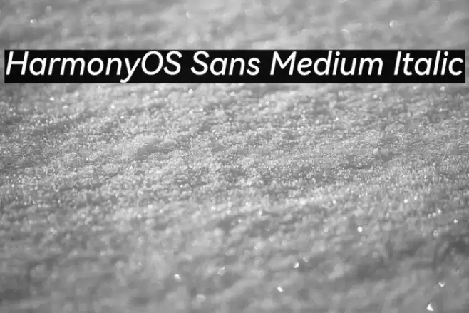 HarmonyOS Sans Medium Italic Font examples