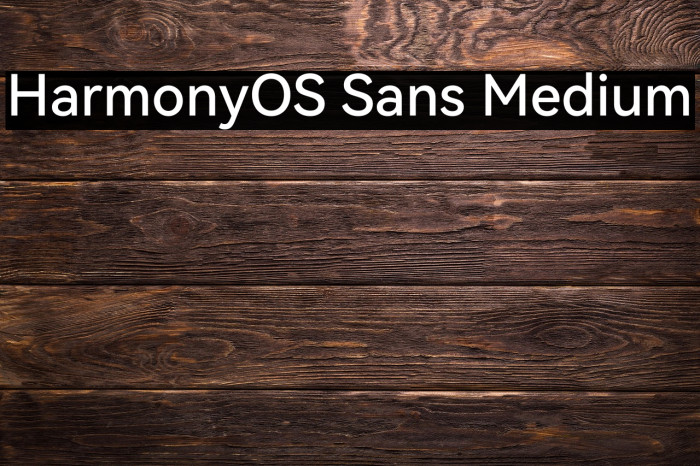 HarmonyOS Sans Medium Example 1
