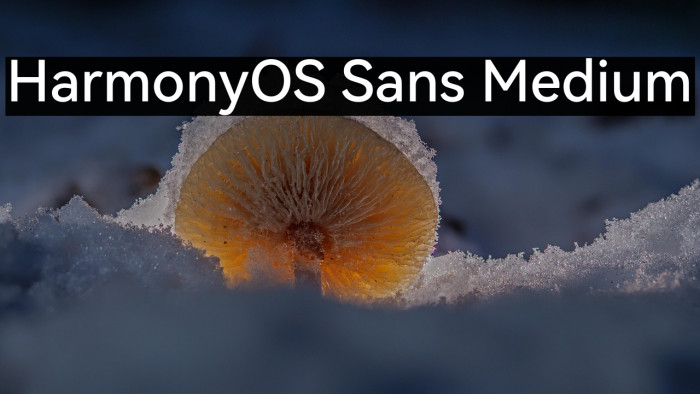 HarmonyOS Sans Medium Example 3