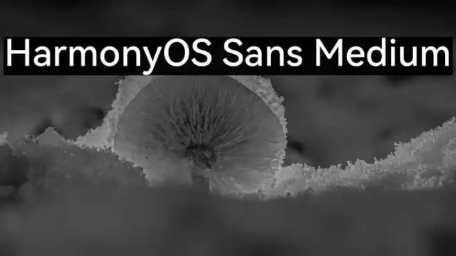 HarmonyOS Sans Medium خط examples