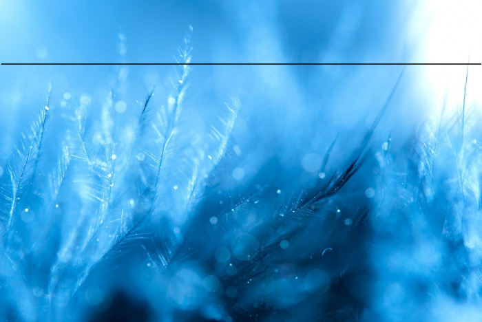 HarmonyOS Sans Naskh Arabic Bold Example 2