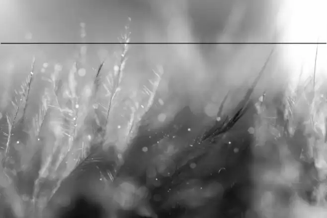 HarmonyOS Sans Naskh Arabic Bold Font examples