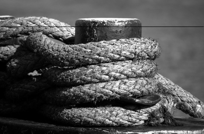 HarmonyOS Sans Naskh Arabic Light Example 2