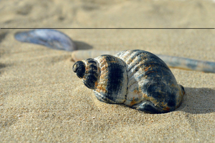 HarmonyOS Sans Naskh Arabic Medium Example 2