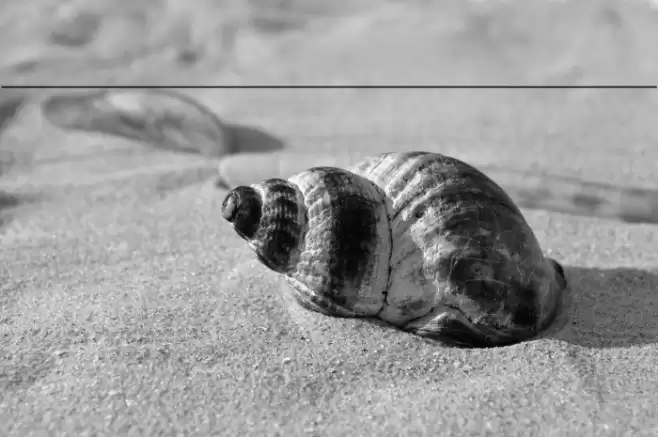 HarmonyOS Sans Naskh Arabic Medium Font examples