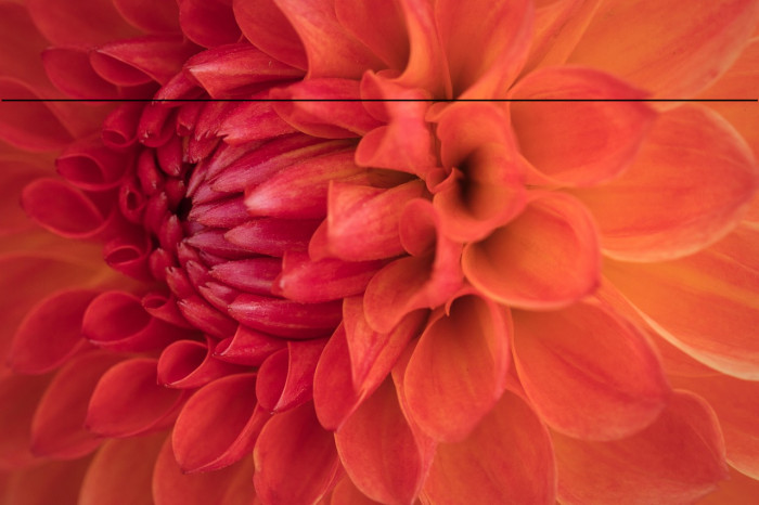 HarmonyOS Sans Naskh Arabic Medium Example 3