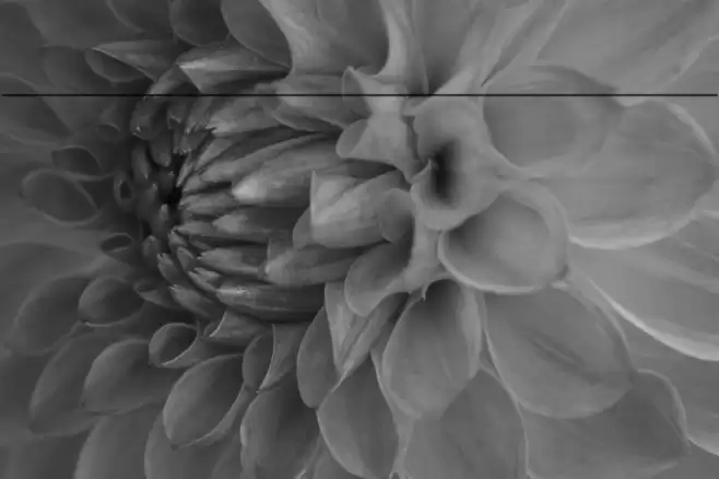 HarmonyOS Sans Naskh Arabic Medium Font examples