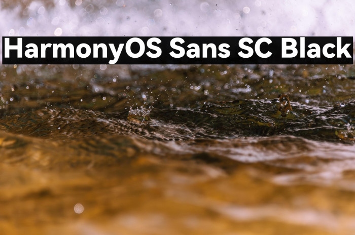 HarmonyOS Sans SC Black Example 1