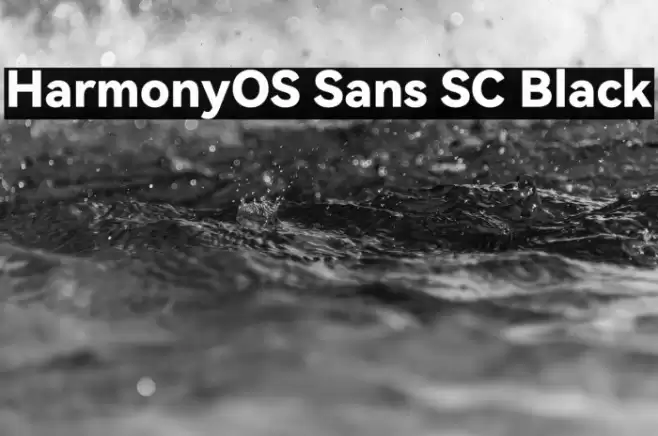 HarmonyOS Sans SC Black Font examples